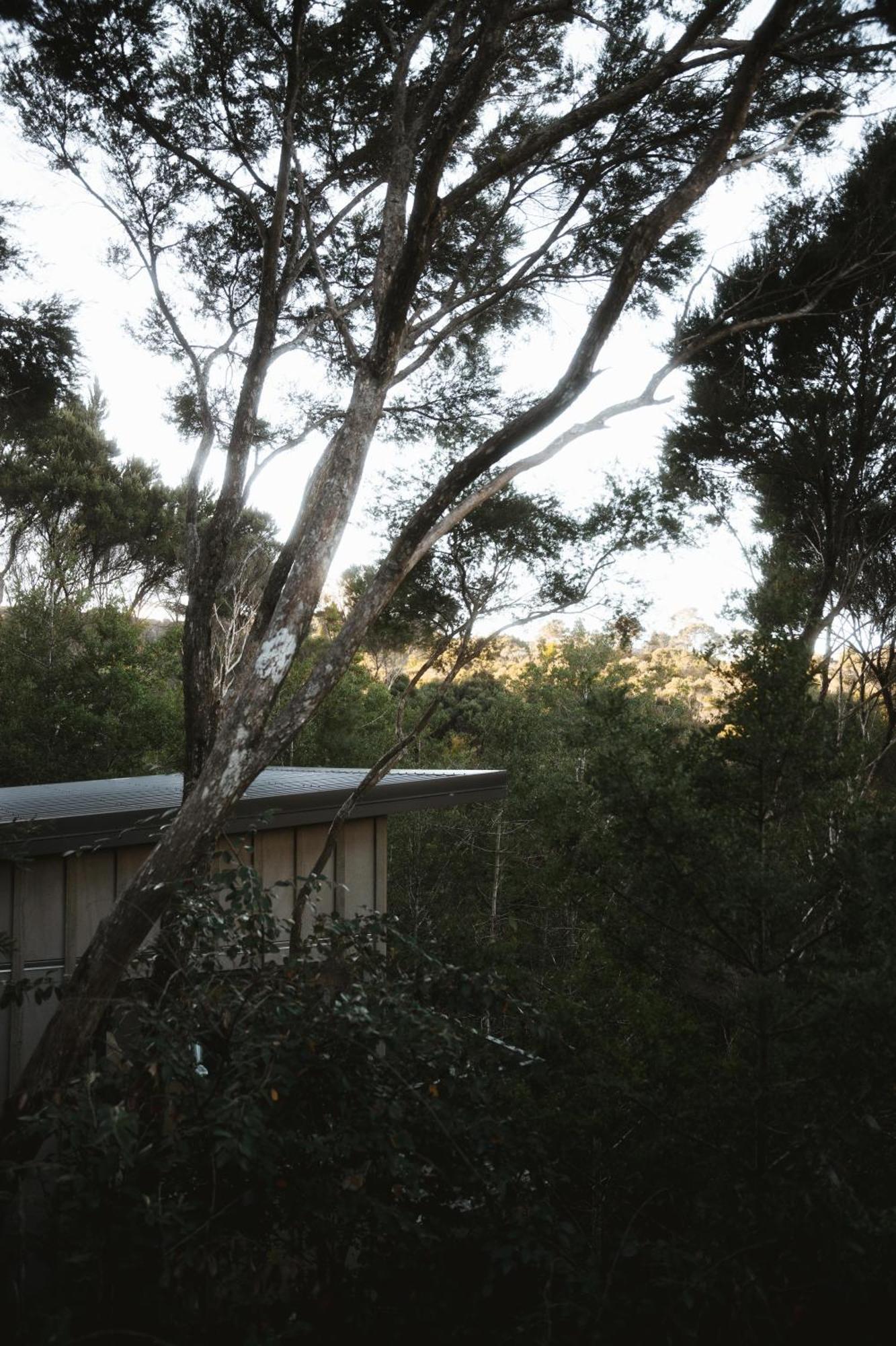 Treehouse Hideaway At Rekindle Tree Houses Opua Eksteriør bilde